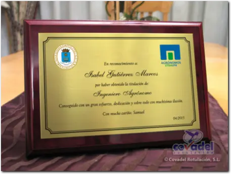 Placas Conmemorativas Aniversarios, Homenajes, Jubilaciones, Agradecimientos, Reconocimientos