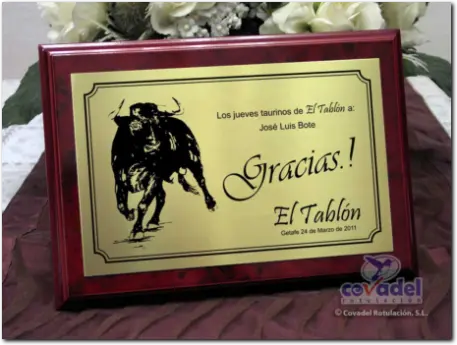 Placas Conmemorativas Aniversarios, Homenajes, Jubilaciones, Agradecimientos, Reconocimientos