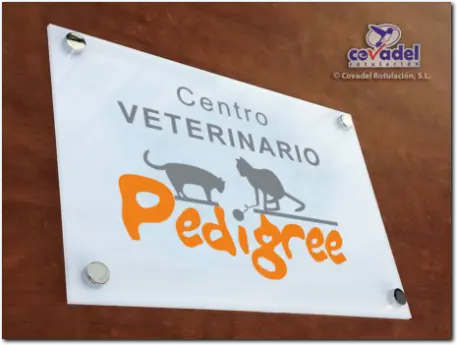 Placa Identificativa para Veterinarios