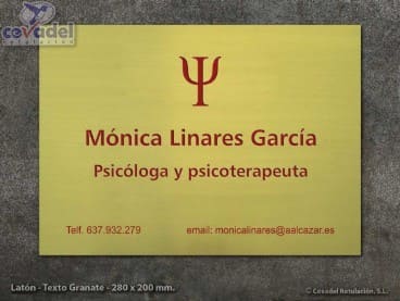 Placa Profesional Grabada en Latón